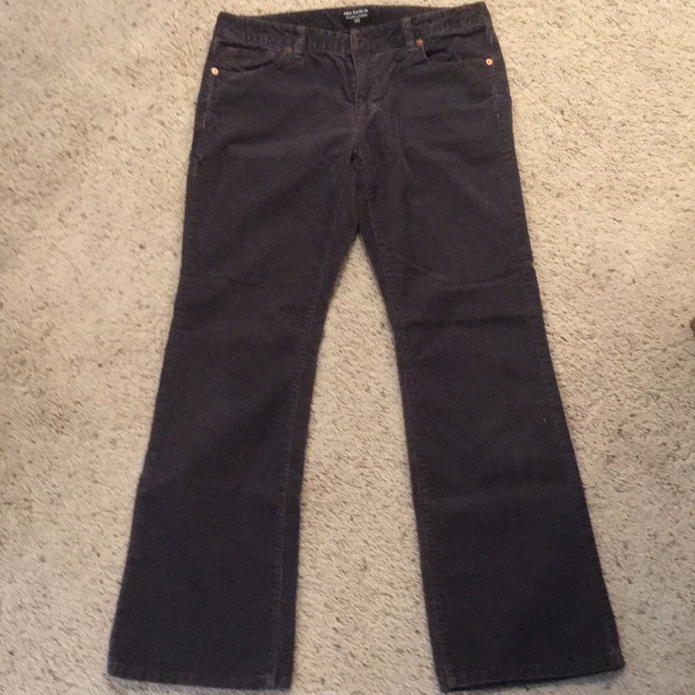 Polo Jean’s Co Bootcut Corderoys